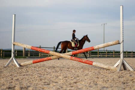 Jump show jumping reiter