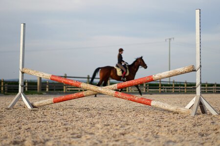 Jump show jumping reiter photo