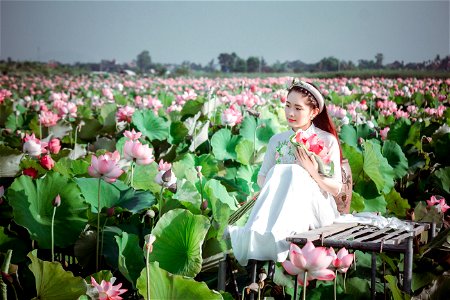 Woman Girl Portrait Lotus