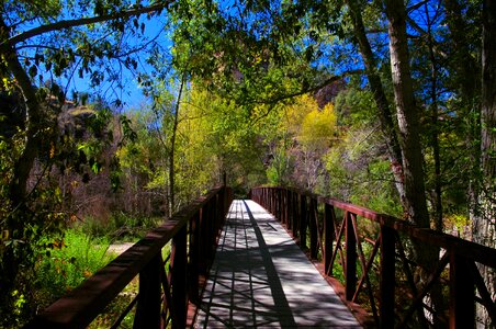 Trail nature landscape