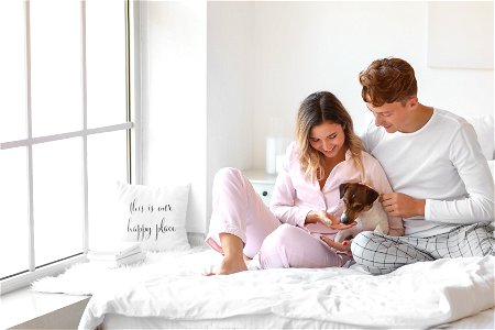 Couple Dog Bed
