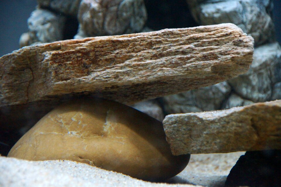 Design background cave