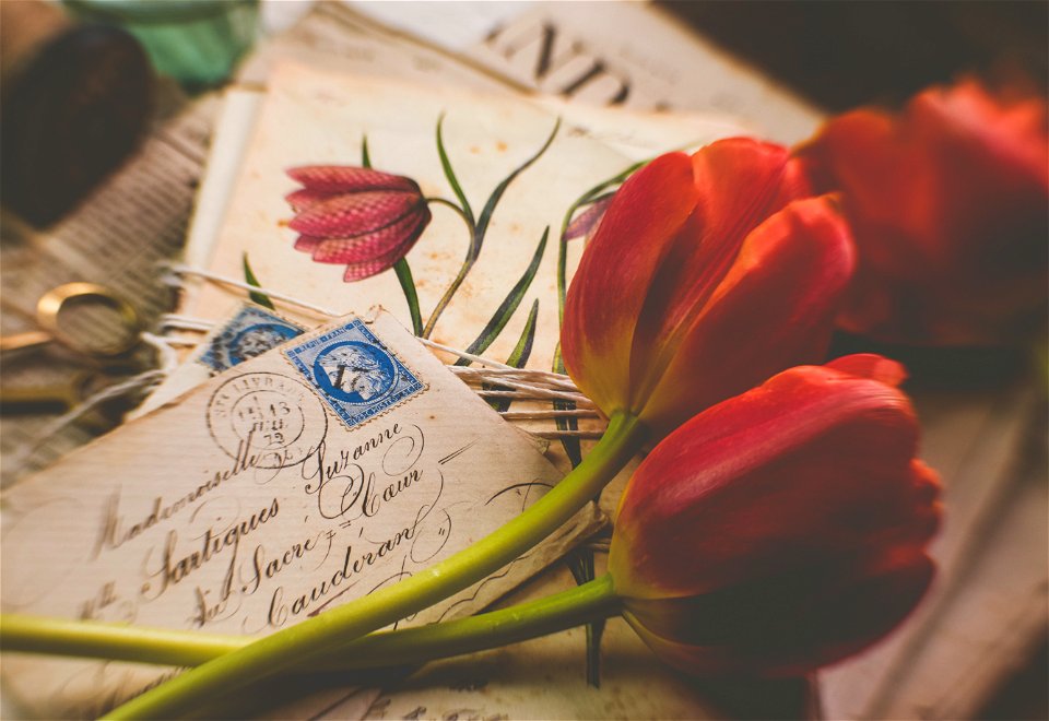 Tulip Flower Letter