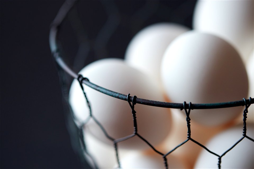 Egg Food
