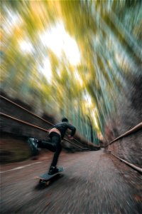Skateboard Bamboo Forest photo