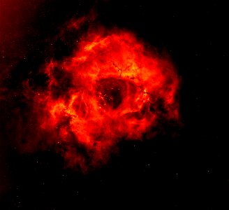 Rosette Nebula photo