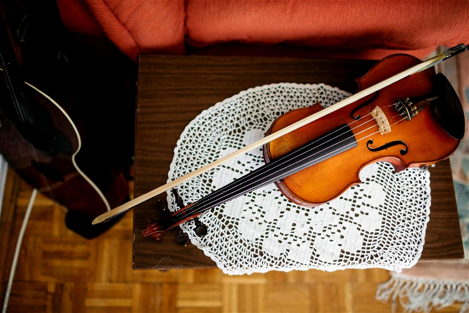 Violin Musical Instrument photo