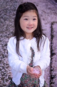 Child Girl Cherry Blossoms Petal