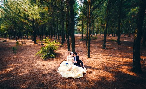 Bride Groom Kiss Forest