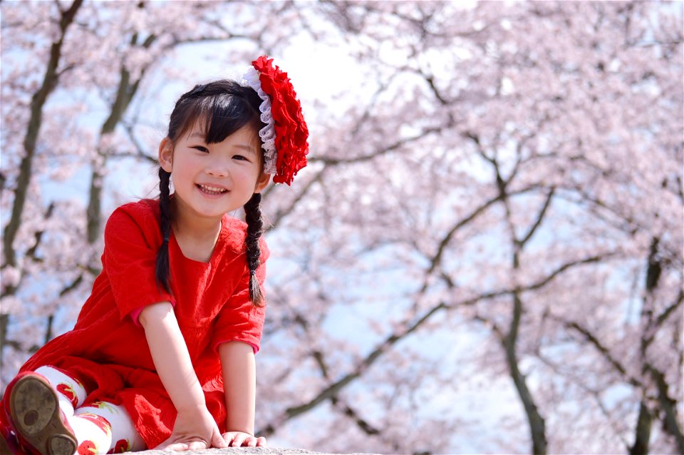 Cherry Blossoms Child Girl