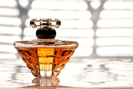 Fragrance Perfume photo