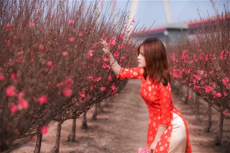 Woman Girl Portrait photo