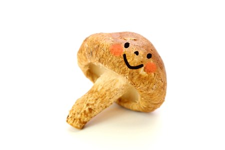 Shiitake Mushroom Character photo