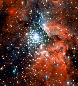 Ngc Nebula
