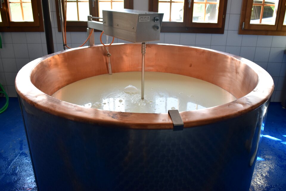 Cheese whey manufacturing