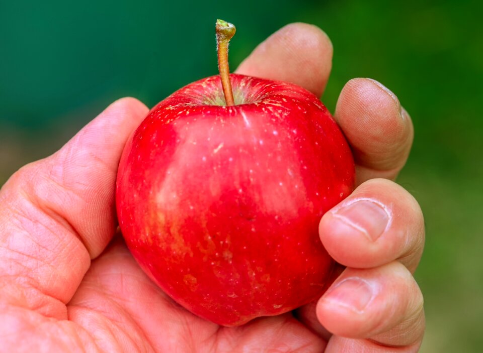 Reach hand healthy