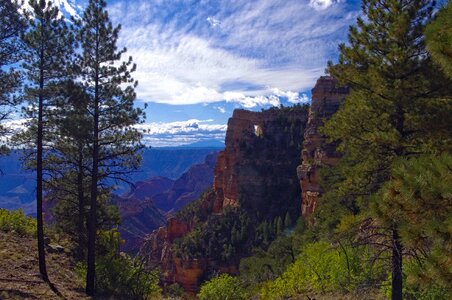 Grand canyon national photo