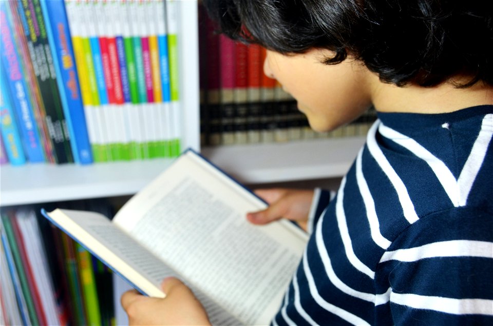 Child Boy Read Book
