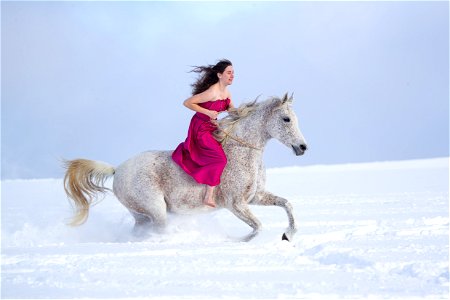 Horse Girl Snow photo