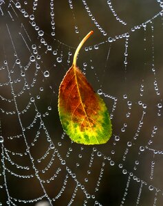 Morning autumn water