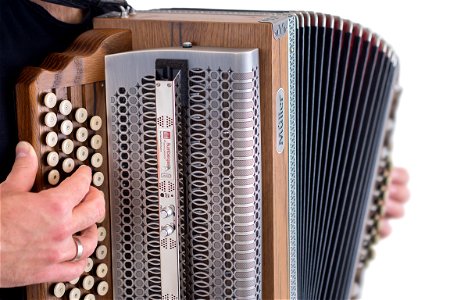 Accordion Musical Instrument