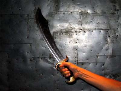 Sword Hand photo