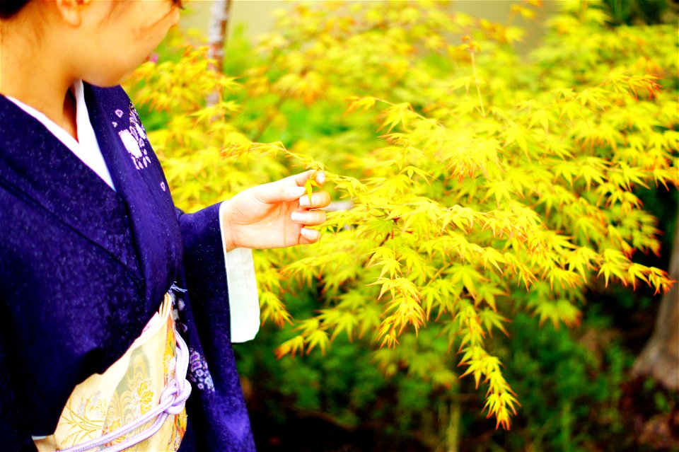 Woman Kimono