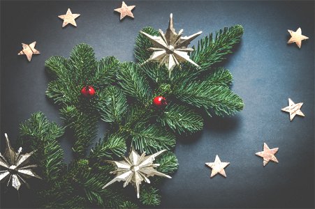 Christmas Decoration Star photo