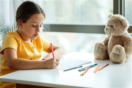 Child Girl Write Homework photo