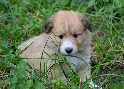 Cute adorable portrait