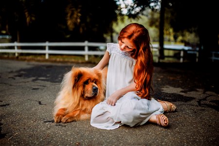 Chow Chow Dog Girl