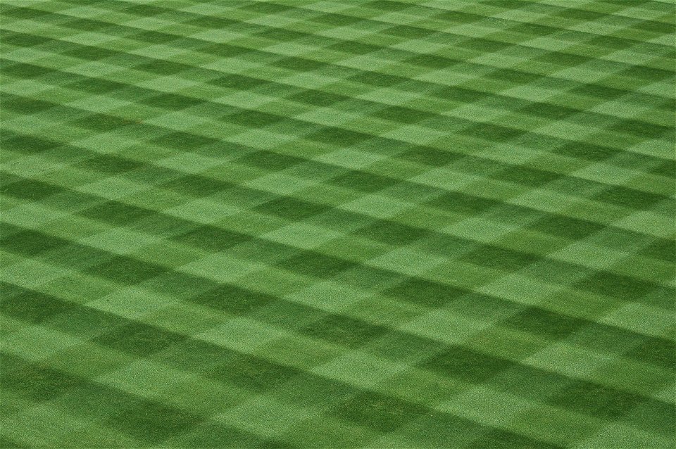 Baseball Field Lawn