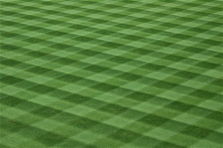 Baseball Field Lawn