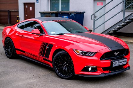 Ford Mustang Car photo