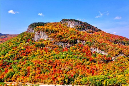 Autumn Mountain Trees photo