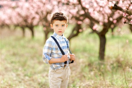 Child Boy Portrait