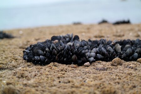 Sand sea coast