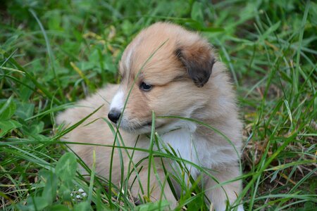 Cute adorable portrait