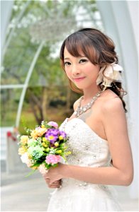 Bride Wedding Dress