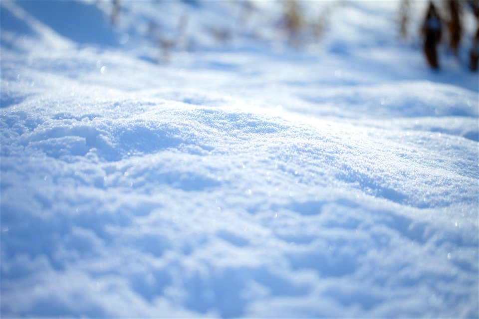 Snow Winter