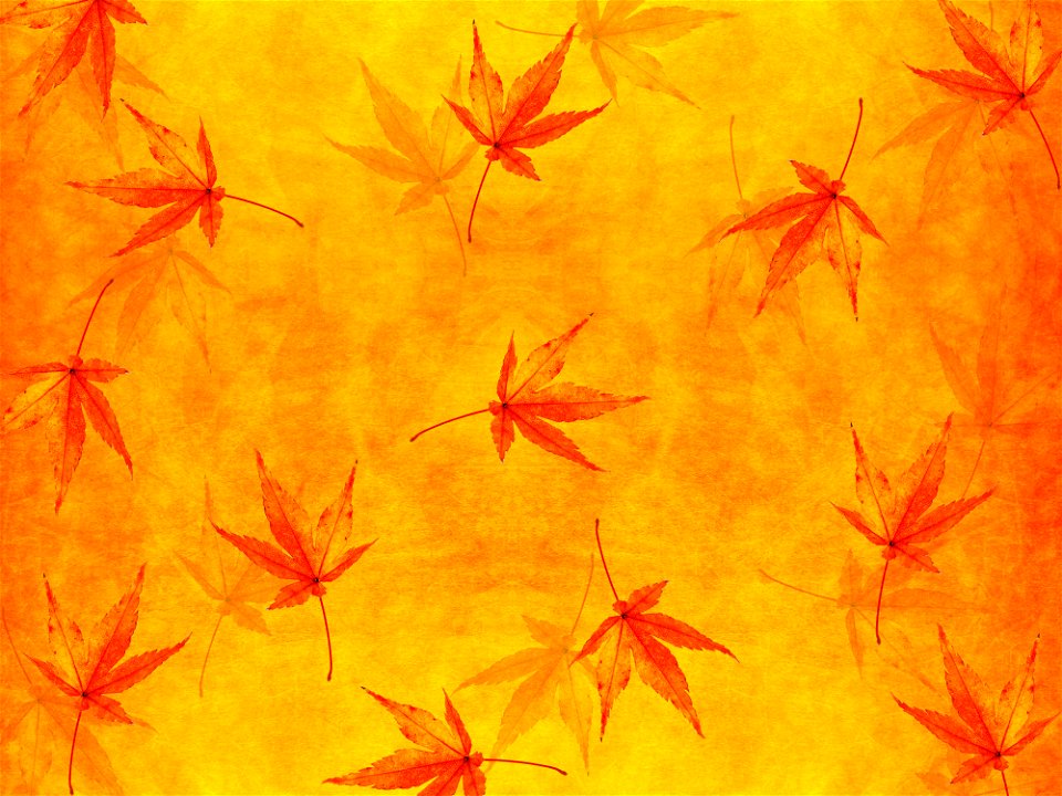 Maple Autumn Leaves Background