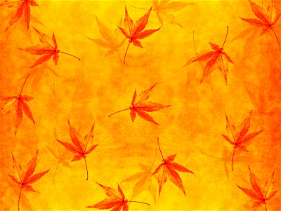 Maple Autumn Leaves Background
