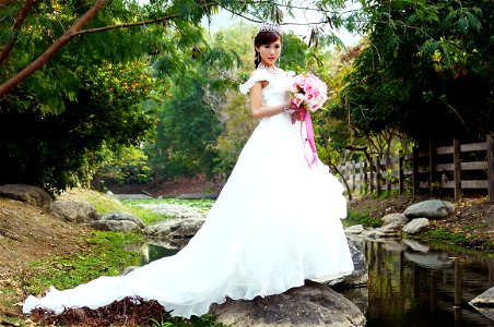 Bride Wedding Dress