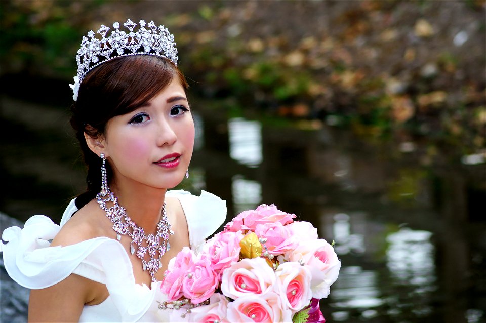 Bride Wedding Dress