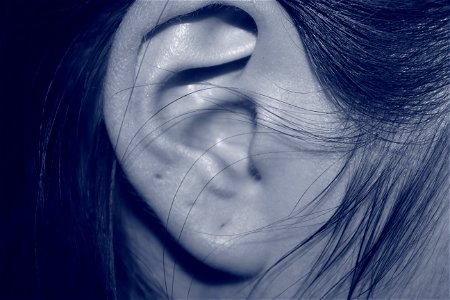 Ear Hole photo
