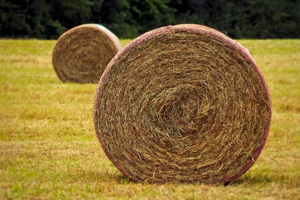 Landscape round bales bale