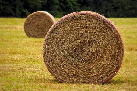 Landscape round bales bale
