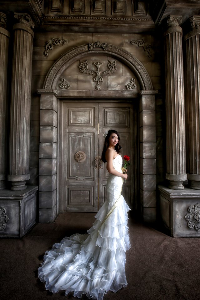 Bride Wedding Dress