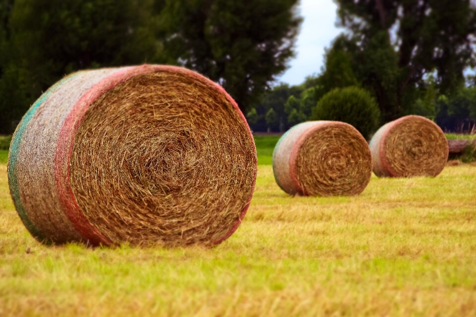 Landscape round bales bale