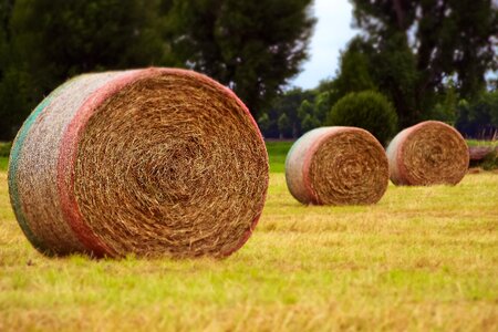 Landscape round bales bale